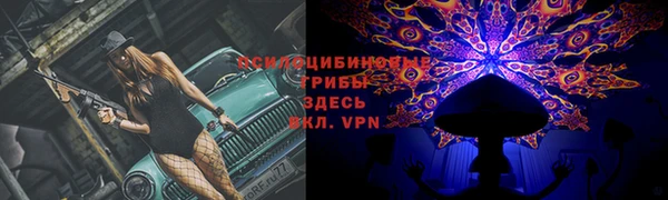 дживик Богородицк