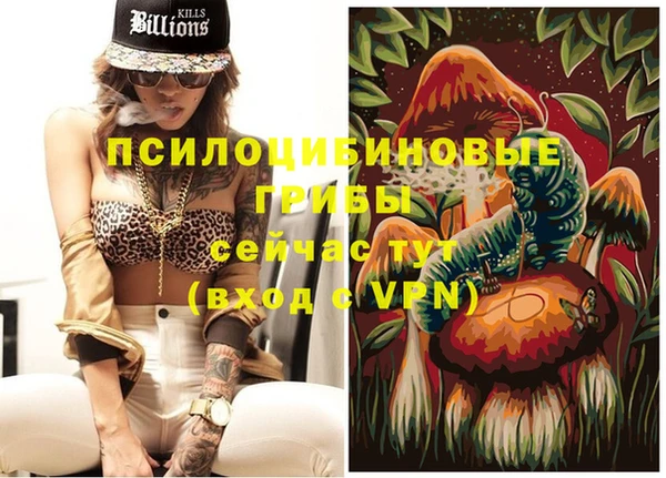 стафф Няндома