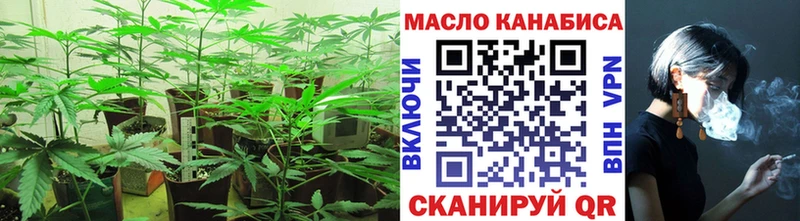 ТГК THC oil  Кашин 